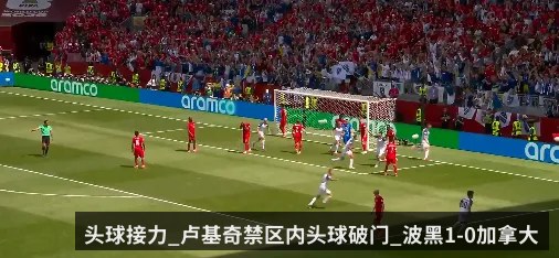 头球接力_卢基奇禁区内头球破门_波黑1-0加拿大